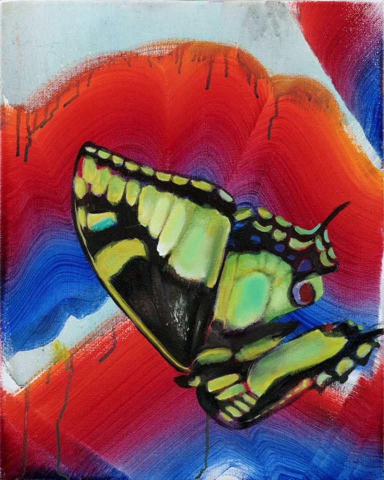 Papilio machaon - Sophie Steengracht